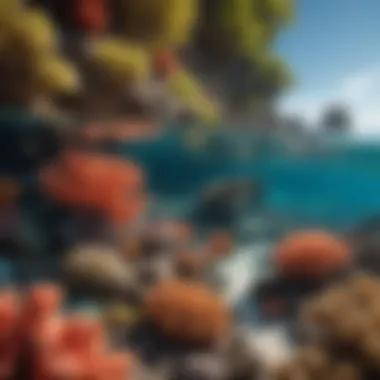 Coral Reefs Beneath Crystal Waters Close-up of vibrant coral reefs teeming with marine life near a pristine beach