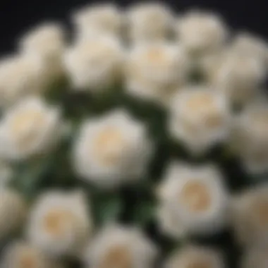 A beautiful arrangement of white roses symbolizing purity