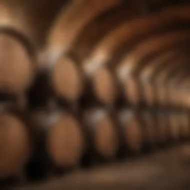 Wine barrels aging in a rustic cellar