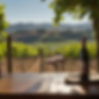 Notable Exploring Vineyard Tours in Napa Valley: A Luxurious Experience