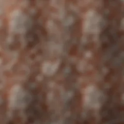 Detailed close-up of vintage Schumacher wallpaper pattern