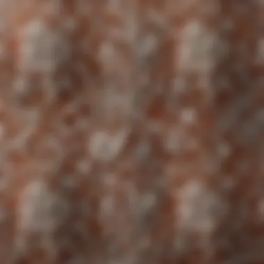 Detailed close-up of vintage Schumacher wallpaper pattern