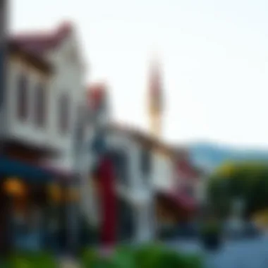 Charming Architecture in Downtown Sonoma A scenic view of downtown Sonoma with charming architecture