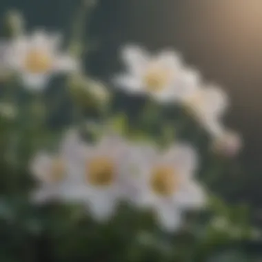 Botanical watercolor painting of delicate flowers in soft hues