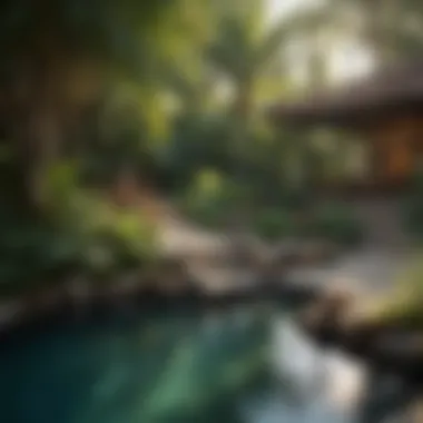 Garden Oasis: A Tranquil Retreat Garden Oasis