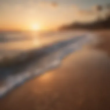 Golden Hour Splendor Golden Hour Splendor