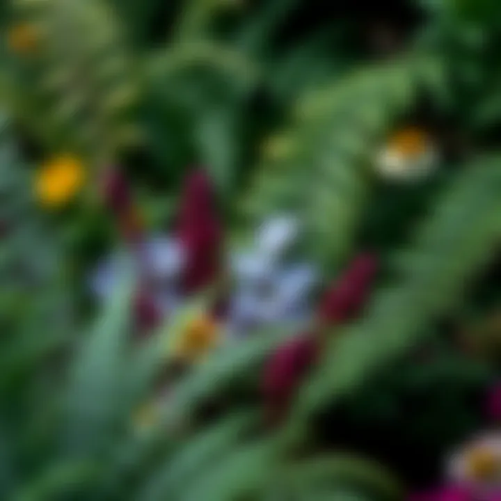 Ferns and Flowers in Harmony Lush ferns juxtaposed with colorful flowers