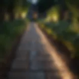 Garden Pathway Illumination Elegant solar light illuminating garden pathway
