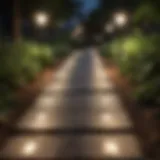 Sophisticated Pathway Illumination