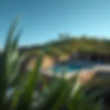 Stunning hillside pool blending with natural surroundings