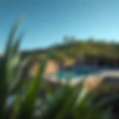 Stunning hillside pool blending with natural surroundings