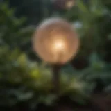 Luminous Botanical Solar Light