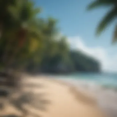 Lush Tropical Paradise with Pristine Beaches