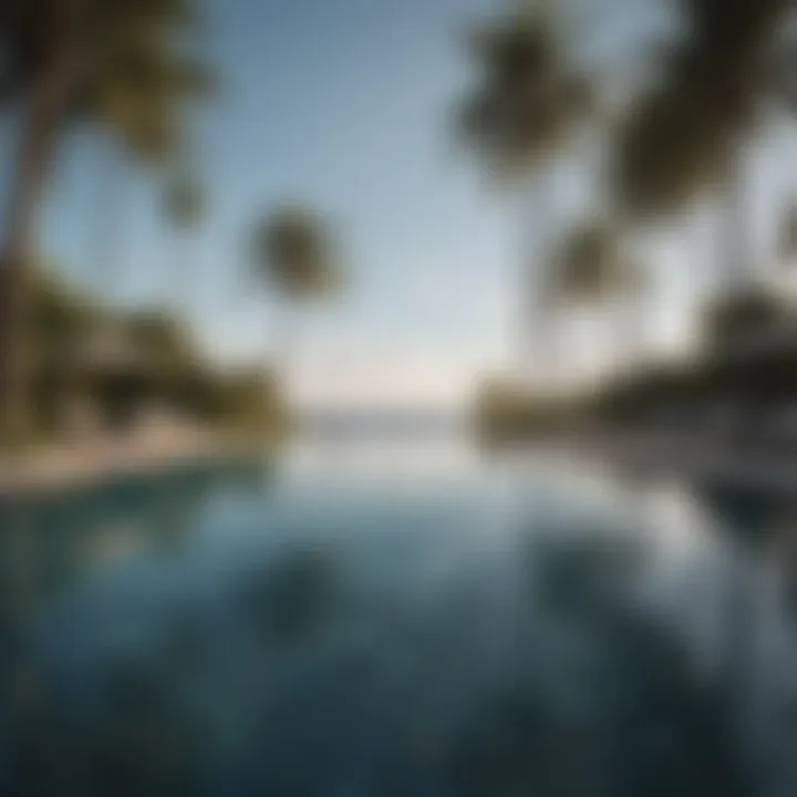 Reflection of palm trees in infinity pool