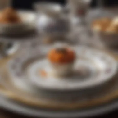 Luxurious Fine China Dinner Plates