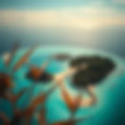 Breathtaking aerial view of a pristine tropical island with turquoise waters