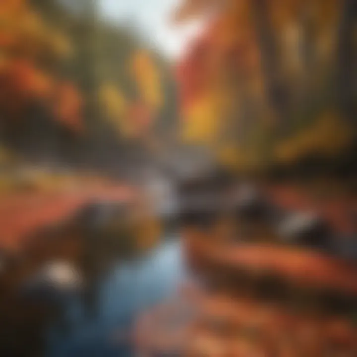 Fall Foliage Splendor
