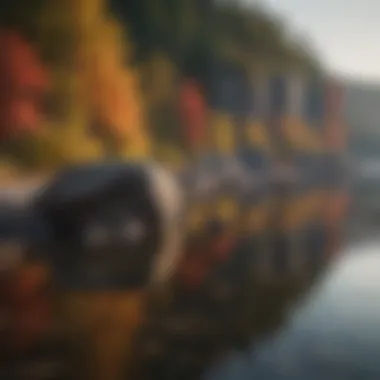 Tranquil Serenity of Acadia Tranquil Serenity of Acadia