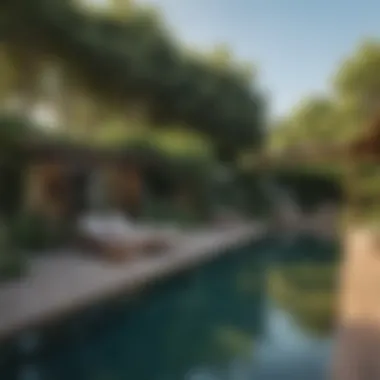 Biophilic pool design blending seamlessly with natural surroundings