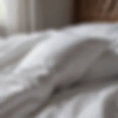 The Quality of Fabric in Luxury White Bedding Close-up of high-quality fabric used in bedding