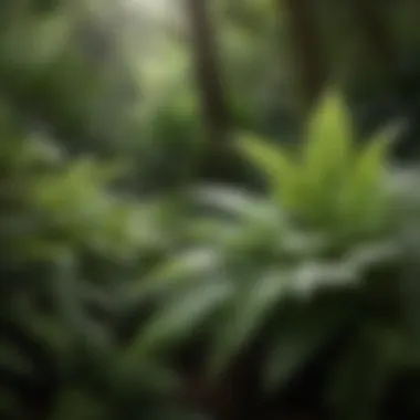 Majestic Ferns in a Whispering Shade Garden