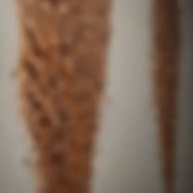 Brush strokes creating intricate designs on wall
