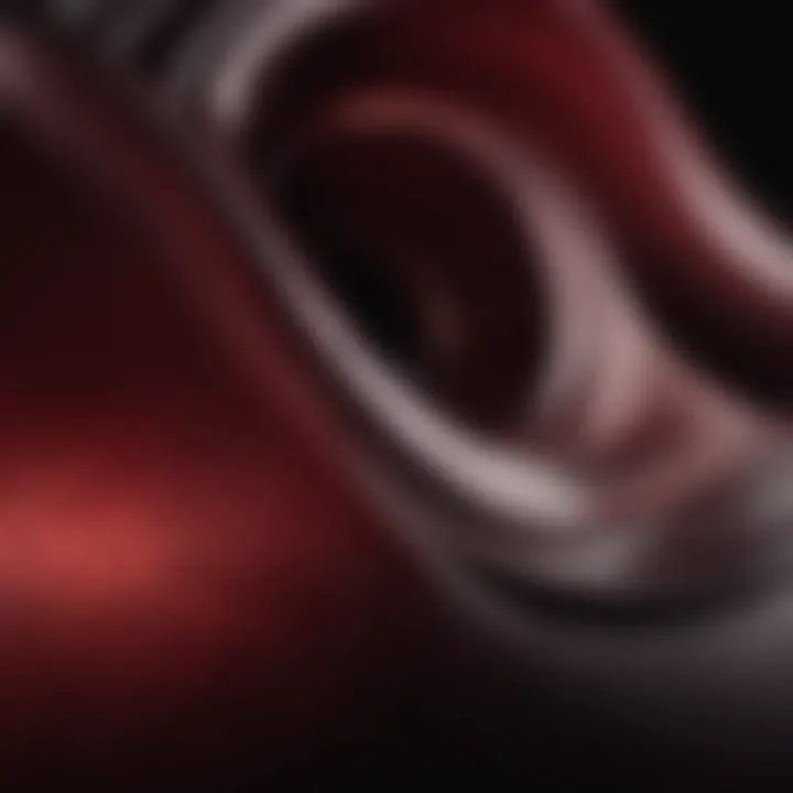 Abstract Artwork in Rich Burgundy Hues