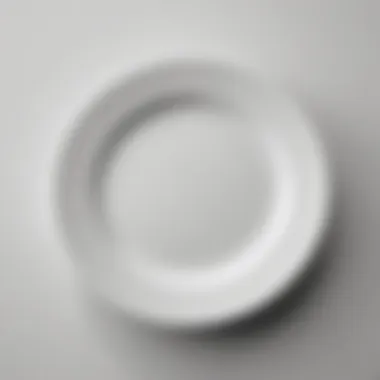 Minimalist China Plate in Monochrome