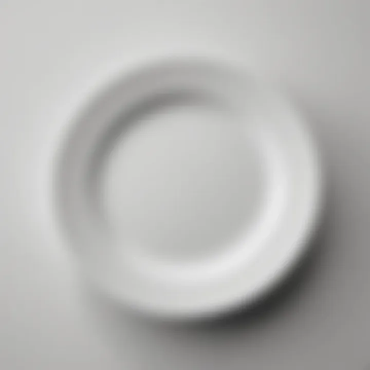 Minimalist China Plate in Monochrome