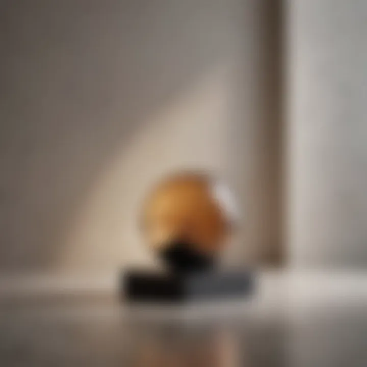 Minimalist Elegance Wall Color
