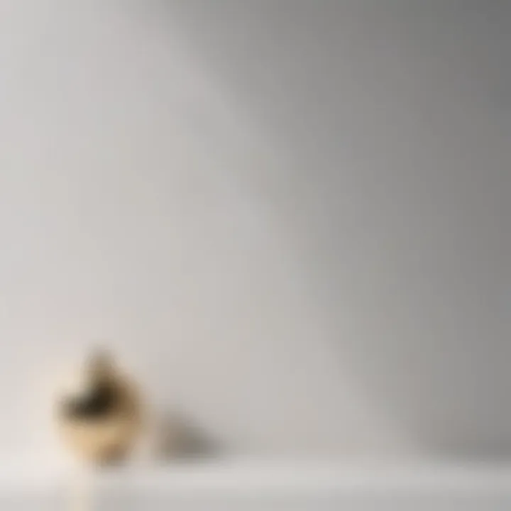 Minimalist Elegance White Wall Paint Color