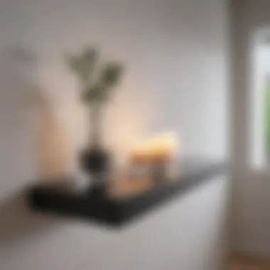 Minimalist Floating Shelf Display Minimalist Floating Shelf Display
