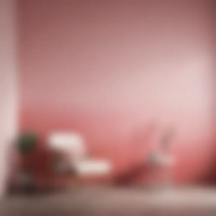 Minimalist pink ombre wall painting