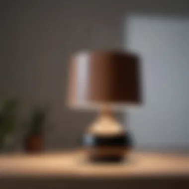 Minimalistic Scandinavian Lamp Shade Style