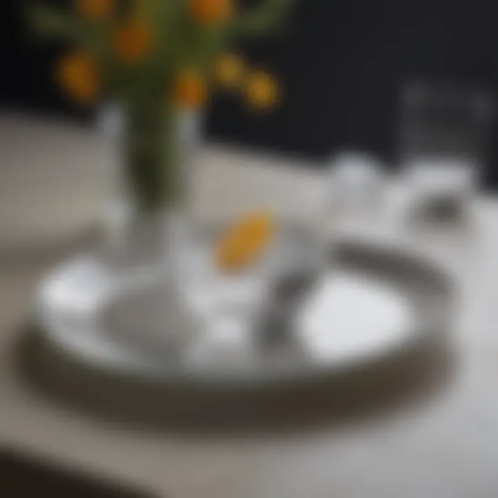 Modern Minimalist Glass Charger Plate