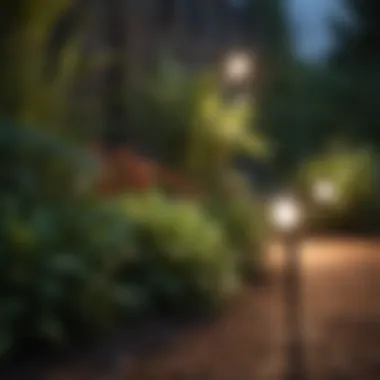Highlight Your Plants with Modern Solar Spotlights Modern Solar Spotlights for Plants