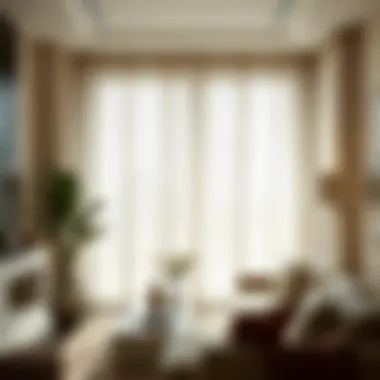 Sheer Elegance: The Allure of Light Filtering Drapery Elegant sheer drapery enhancing a luxurious living space