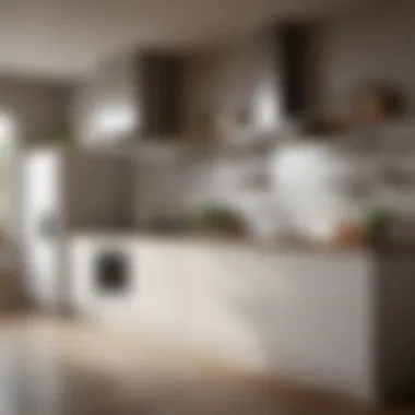 Efficiency and Functionality Fusion in Small Kitchen