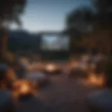 Outdoor Movie Night Setup