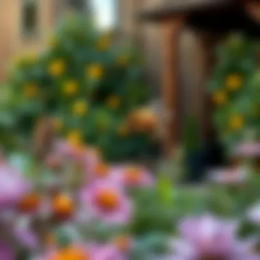 Garden design featuring plants that support bee populations