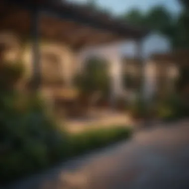 Charming Outdoor Patio with Mosquito-Repelling Plants A serene outdoor patio adorned with ornamental plants known for mosquito repellence