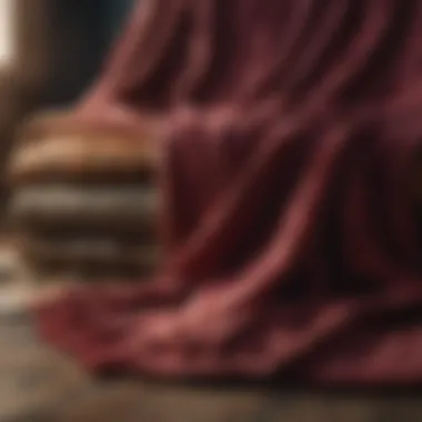 Opulent Velvet Comfort Plush Velvet Throw Blanket