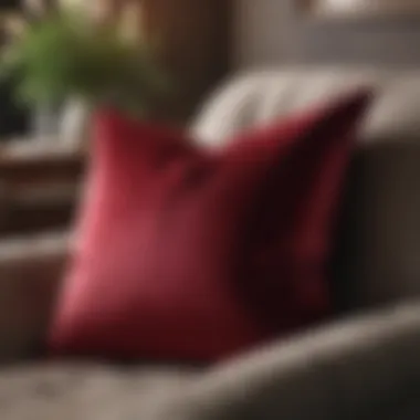Velvet Luxe: Throw Pillows Collection Plush Velvet Throw Pillows