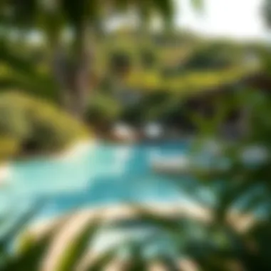 Serene spa pool surrounded by lush greenery