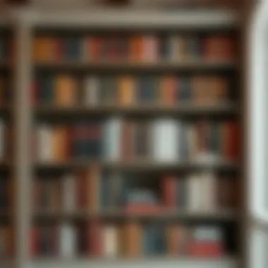 A sophisticated bookshelf showcasing timeless literary works Elegant bookshelf filled with classic novels