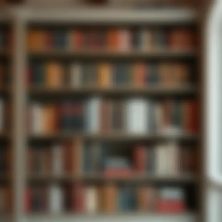 A sophisticated bookshelf showcasing timeless literary works Elegant bookshelf filled with classic novels