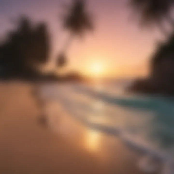 Sunset over pristine beach with palm trees