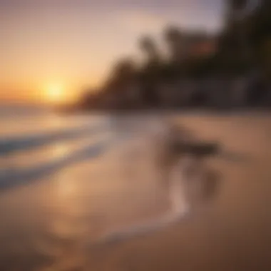 Serene Sunset: Private Beach Access Private Beach Access at Sunset in Exquisite Rental Property