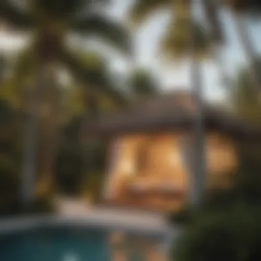 Secluded Serenity: Palm-laden Cabanas at Miami's Exclusive Retreat Palm-lined private cabanas at exclusive Miami resort