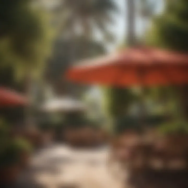 Variety of Santa Barbara patio umbrellas showcasing styles
